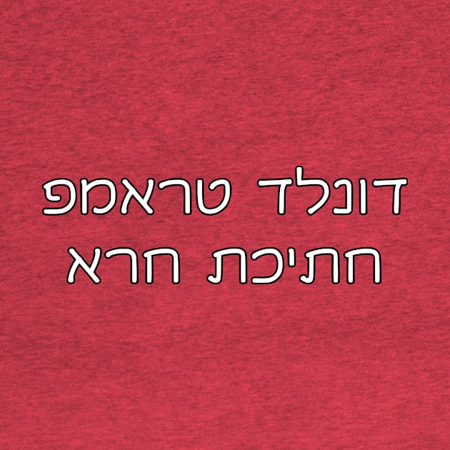 Donald Trump Is A POS (Hebrew) by dikleyt